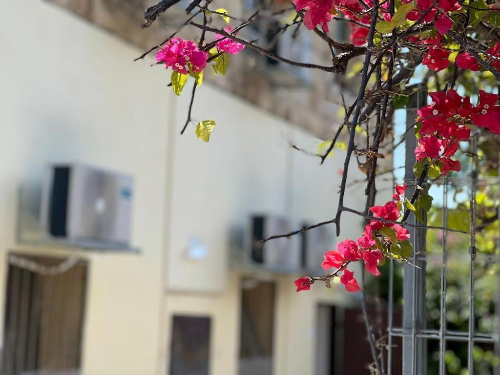 Godson Talpiot Aparthotel Haifa Ngoại thất bức ảnh